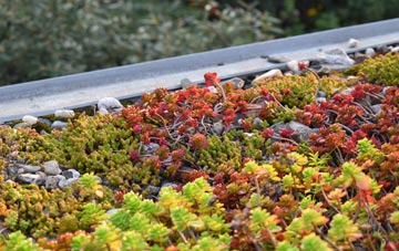 the cost of Fair Oak Green green roof installation