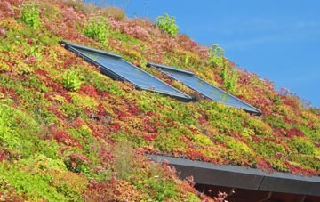 Fair Oak Green living roof systems