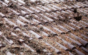 Fair Oak Green roof cleaning companies