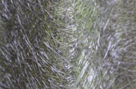 Fair Oak Green fibreglass roof work